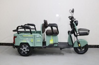 Triciclo Eléctrico Plegable de 3 Ruedas en Oferta, con Batería de Plomo-Ácido de 48V 20Ah y Motor sin Escobillas de 600W para la Familia
