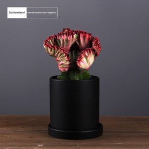 Pot de fleurs en céramique nordique moderne, jardinières élégantes <span class=keywords><strong>pour</strong></span> l'<span class=keywords><strong>extérieur</strong></span> et l'intérieur, <span class=keywords><strong>pour</strong></span> jardins contemporains et décoration d'intérieur élégante - Product Image 3