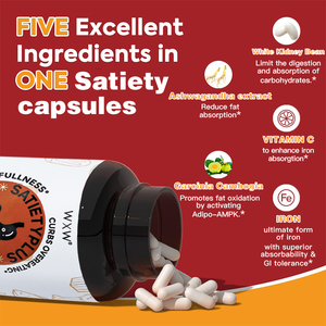 Créez vos capsules de perte de poids best-seller OEM ODM avec de la Garcinia Cambogia et du thé vert - Product Image 2