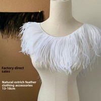 Plumes d'autruche teintées et lavées, directement de l'usine, pour robes de haute couture, garnitures en dentelle, accessoires vestimentaires et tenues de danse de performance