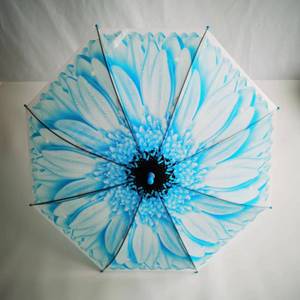 <span class=keywords><strong>2025</strong></span> thiết kế mới Daisy mưa thẳng Kid ô tự động mở dài xử lý con ô cho trẻ em - Product Image 6