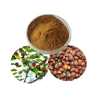 Wholesale Customized Organic Spine Date Seed Extract 2% Spine Date Seed Extract Powder