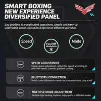Cible de boxe musicale LED ALLFIGHT 2026 avec compteur de coups lumineux Bluetooth et jeu d'entraînement interactif