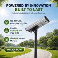 Lampes solaires LED tout-en-un 40W, étanches IP65 IK10 avec contrôle intelligent pour l'éclairage des routes et des villes intelligentes
