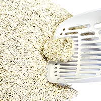 OEM Tofu Cat Litter Biodegradable Berbasis Pati Bebas Debu Menggumpal Ramah Lingkungan Kontrol Bau Dapat Dibuang di Toilet untuk Banyak Kucing