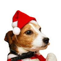 Chapeau de Noël Adorable pour Animaux de Compagnie (Chiens et Chats) – Accessoire et Ornement pour Chiens de Petite, Moyenne et Grande Taille – Fournitures pour Animaux