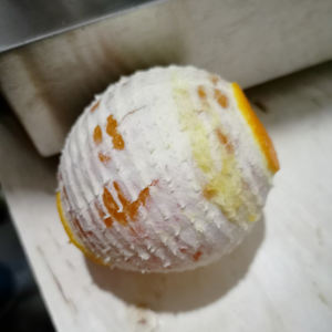 Petit éplucheur de fruits motorisé pour citron, orange et kaki - Product Image 6