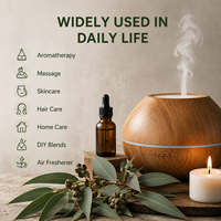 Huile d'eucalyptus pure, huile essentielle distillée à la vapeur, d'origine naturelle, matière première pour les soins personnels, savon, lotion, produits ménagers