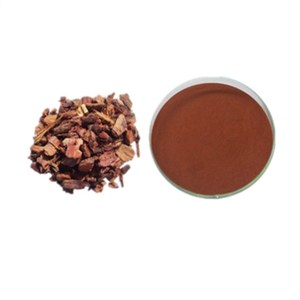 Mẫu Miễn Phí 95% OPC Hàng Hải Pháp Red Pine Bark Extract Powder - Product Image 2