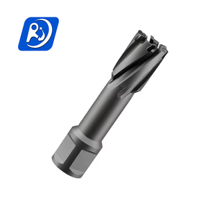 Nhà sản xuất giá tungsten <span class=keywords><strong>carbide</strong></span> broach Cutter TCT lõi khoan bit Weldon Shank hình khuyên Cutter Khoan <span class=keywords><strong>Bits</strong></span> - Product Image 3
