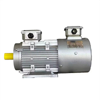 Moteur asynchrone triphasé à fréquence variable à économie d'énergie, boîtier en aluminium 380V