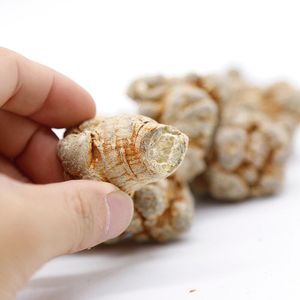 中国産人参（田七人参）薬用天然乾燥根、偽人参（三七人参） - Product Image 3