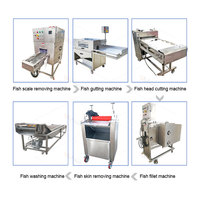 Nouveau design Tilapia Halal Pangasius Saumon Tambour Pomfret Basa Filet de poisson Rouge Prix de la machine