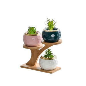 Estante de escritorio de bambú de 3 niveles para plantas, soporte para escritorio de oficina, color madera natural, expositor para suculentas - Product Image 5