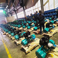 Palans électriques à câble traditionnels de 5 tonnes, type fixe/à chariot, 380V, certifiés CE, équipement de levage robuste