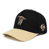 Gorra de Béisbol Deportiva Formal Personalizada con Logotipo Bordado de Alta Calidad y Confiable para Hombres y Mujeres, para Viajes al Aire Libre