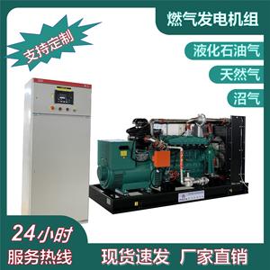 เครื่องกำเนิดไฟฟ้าแก๊ส PULITA 50KVA 380V สามเฟส เสียงเบา อุปกรณ์ไฟฟ้าอุตสาหกรรม - Product Image 2