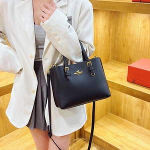 Sac à main de luxe pour femme de qualité supérieure, élégant, style designer, sac à bandoulière haut de gamme pour femme, sac fourre-tout tendance avec quincaillerie classique - Product Image 6