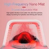 Masque facial LED PDT 7 couleurs, appareil de soin de la peau portable, pliable, vaporisateur hydratant nano, équipement de beauté