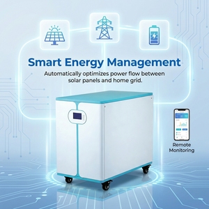Hybrid Grid 48V 300Ah 16kWh Powerwall Home Solar Energy Storage <b>Battery</b> With BMS Rcdf-hy-001 Ultra-long Deep Cycle Life of 8000- - Product Image 2
