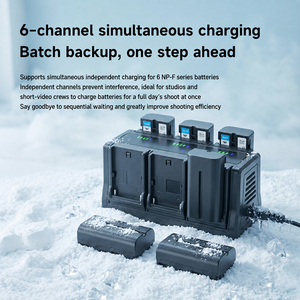 Chargeur de batterie NP-F 6 canaux avec prise standard européenne 100-240V pour Sony Canon <span class=keywords><strong>Nikon</strong></span>, destiné aux utilisateurs professionnels de la photographie sur le marché européen - Product Image 2