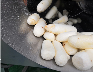Trong Kho Điện Thép Không Gỉ Tắn Manioc Mandioca Sắn Peeler Vắt Tay Slicer Cắt Tmẻ Lưới Máy - Product Image 3