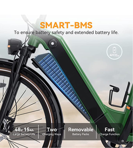 Batería de Repuesto para Bicicleta Eléctrica de 36v 48v 13Ah 14Ah 15Ah 17.5Ah 30A, Baterías de Litio Venzo CHINTONE Hidoes YIFEI EBIKE <span class=keywords><strong>HIMO</strong></span> <span class=keywords><strong>C26</strong></span> - Product Image 5