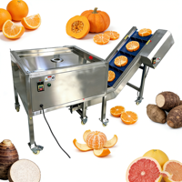 Multifunctionele Cassave- en Aardappelwafelsplitsende, -snijdende en -scheidende machine, fruit-, sinaasappel-, citroen- en appelscheidingsmachine met transportband