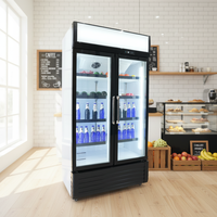 Réfrigérateur commercial à double porte vitrée pour boissons/bière, contrôle numérique de la température, dégivrage automatique, température unique, refroidissement par air