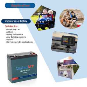 Paket Baterai Lifepo4 Lithium Iron Phosphate 12V 24V 36V 48V 30ah Dengan Bms untuk RV Mobil Listrik Skuter Sepeda Motor Kapal - Product Image 3