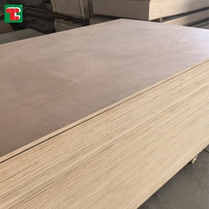 Panneaux de <span class=keywords><strong>contreplaqué</strong></span> commercial 6x10, 4x12, 4x8, 4815 <span class=keywords><strong>mm</strong></span>, 18 <span class=keywords><strong>mm</strong></span>, 1 pouce, en <span class=keywords><strong>peuplier</strong></span>, bouleau indien, revêtu, de Foshan Gorjon, importés - Product Image 1