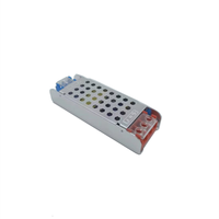 Alimentations LED Slim 60w100w 200w Transformateurs d'éclairage DC 12v/24v 8A 16A Alimentation à découpage Adaptateur secteur Entrée 100-240V