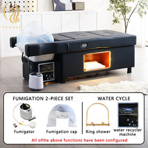 चुक आधुनिक थैई मालिश बिस्तर सैलून इलेक्ट्रिक बैकरेस्ट लिफ्ट petereeether - Product Image 5