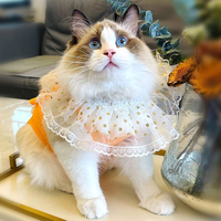 Collier de luxe pour animaux de compagnie, style princesse, pour fête d'anniversaire, avec paillettes, dentelle et nœud, pour chats et chiens