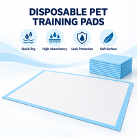 Protège-tapis jetables pour toilettes canines à drainage rapide, avec film protecteur anti-humidité pour l'entretien intérieur - Exportation directe usine