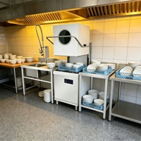 Lave-vaisselle de qualité industrielle, lave-verres commercial en acier inoxydable avec cycle rapide pour usine alimentaire, cantine, cuisine