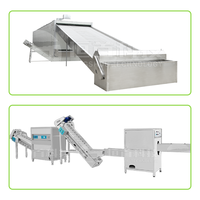Machine voor het maken van uienpoeder, groenteverwerkingslijn, uienpoederverwerkingslijn, uienpoederproductielijn