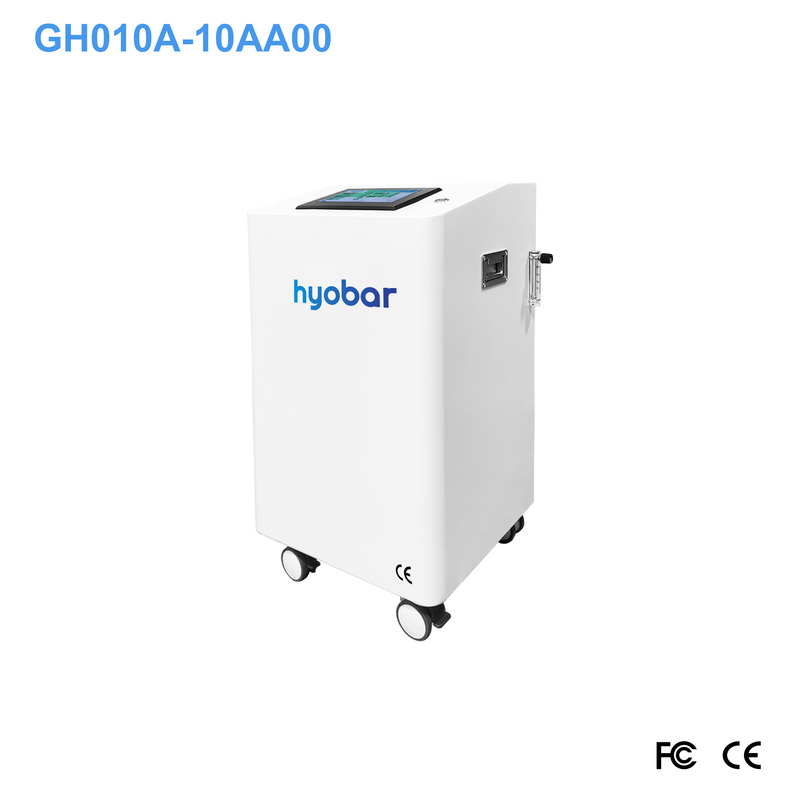 Portable 10L High Purity Adjustable Oxygen