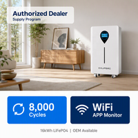 Système d'énergie solaire à batterie au lithium LiFePO4 certifié CE 51,2 V 16 kWh 30 kWh, alimentation de secours domestique