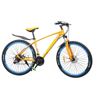 OEM Cheap Adult Sports Aluminum Alloy Bike Men Mountain Bicycle 29