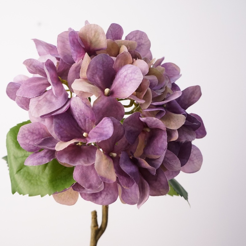 Hydrangée violette 3D, un rêve en couleurs.