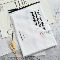 Logo personnalisé en plastique eva transparent zip emballage poly slider zip lock givré transparent ziplock sac pour t-shirt