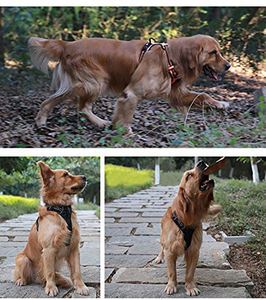 BSCI Factory Soft Front easy Dog <b>Harness</b> Best Reflective <b>No</b> <b>Pull</b> <b>Harness</b> with Handle and Two Leash Attachments private label - Product Image 6
