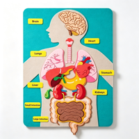 Kits pédagogiques Montessori sur les parties du corps humain pour les tout-petits, jouets d'apprentissage de l'anatomie préscolaire, éducation précoce OEM