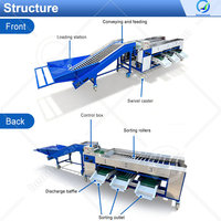 OCEAN Volledig Automatische Meloen- en Notengrootte Sorteermachine Avocado Cherry Tomatengrootte Sorteermachine Prijs
