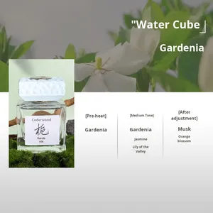 Otel Aromaterapisi Alevsiz Difüzör Kare Şişe Su Küpü Oda Banyo Koku Giderici Koku 100ml 120 Gün - Product Image 6
