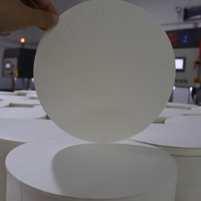 Disposable Food Grade Pe Coated Promotional