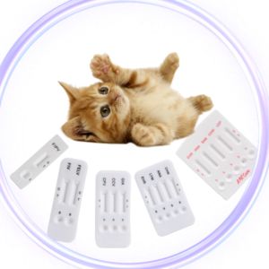 FIV Ab/FELV Ag/Giardiaコンボテスト - Product Image 4