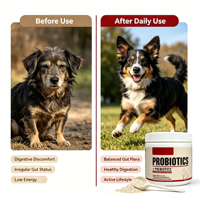 Poudre de Probiotiques Végétaliens pour Chiens : Soutien Digestif, Prébiotiques, Vitamines et Minéraux – Service OEM Marque Privée