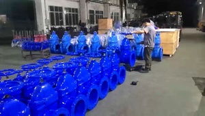 Vanne à opercule en fonte ductile à siège souple GGG50 DIN3352 pour l'eau, commande par opercule, taille DN350 - Product Image 3